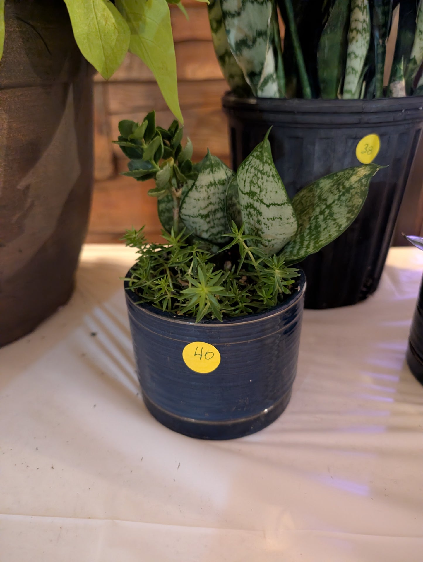 Item 40 - Blue Small Planter #2
