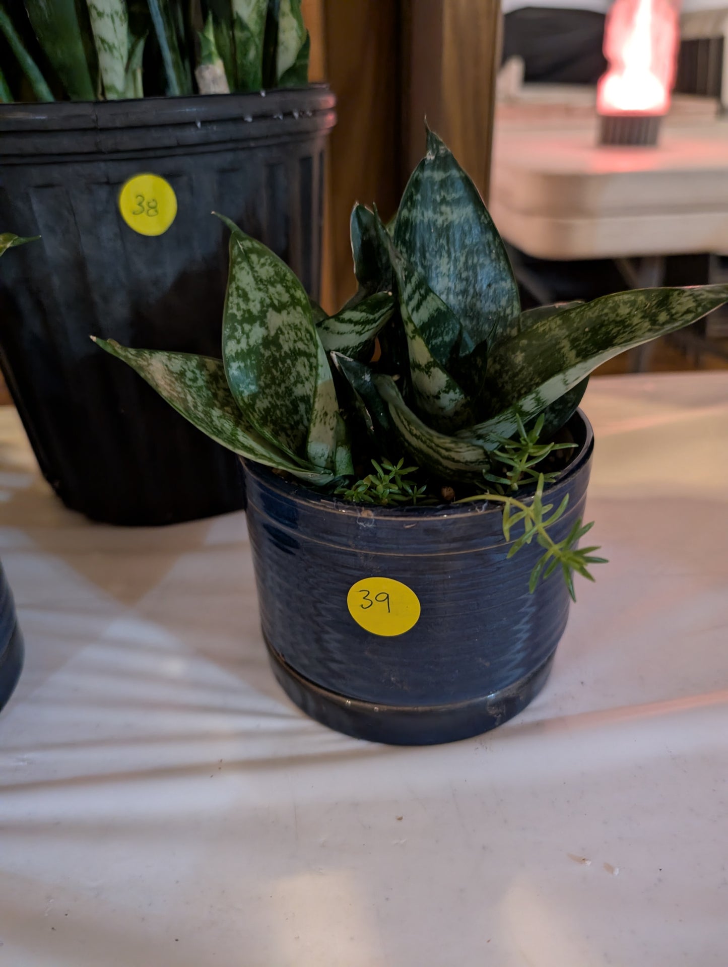 Item 39 - Blue Small Planter #1